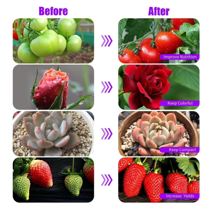 Feirrmimo LED Grow Lights for Indoor Plants,Full-Spectrum Grow Light with Automatic On/Off and 3/9/12-Hour Timer,2-Head Clip-On Plant Grow Light with 9 Dimmable Brightness Levels