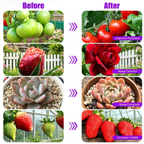 Full Spectrum LED Grow Light for Indoor Plants,full-spectrum supplemental lights, 5 Dimming Levels, 3/9/12H Auto On Off Timing Clip Plant Lamp