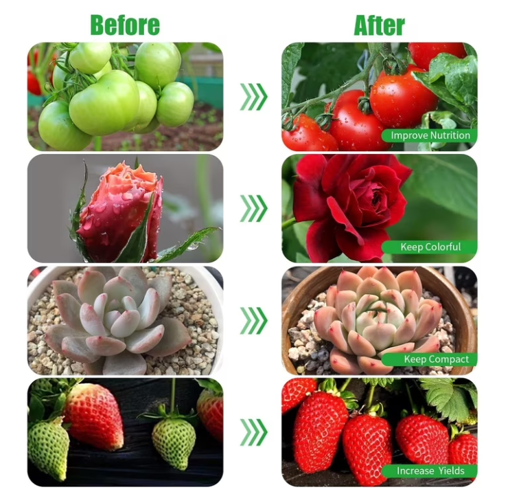 Feirrmimo LED Grow Lights for Indoor Plants,Full-Spectrum Grow Light with Automatic On/Off and 3/9/12-Hour Timer,3-Head Clip-On Plant Grow Light with 9 Dimmable Brightness Levels