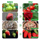 Feirrmimo LED Grow Lights for Indoor Plants,Full-Spectrum Grow Light with Automatic On/Off and 3/9/12-Hour Timer,3-Head Clip-On Plant Grow Light with 9 Dimmable Brightness Levels